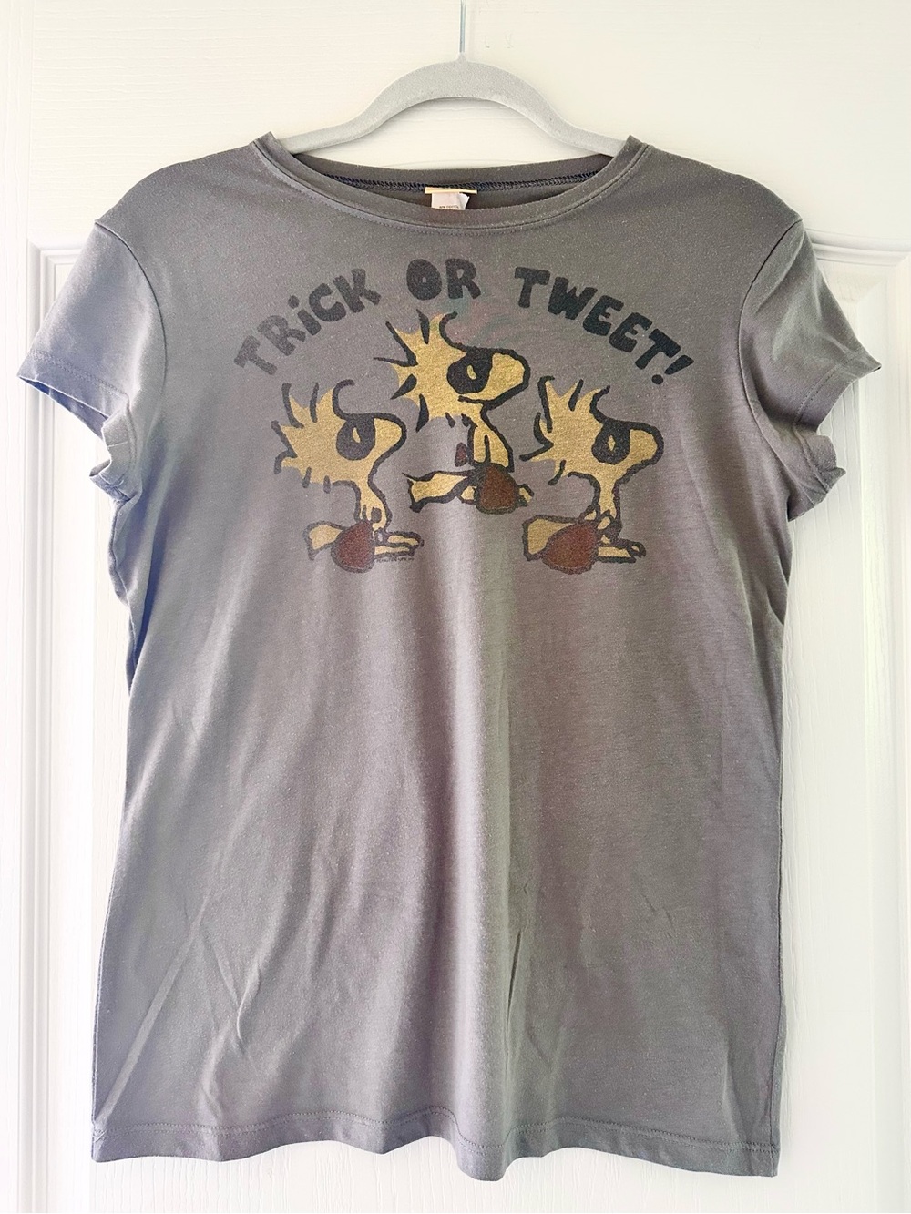 Women’s Grey Halloween Trick Or Treat Peanuts Woodstock Short Sleeved Tee XL